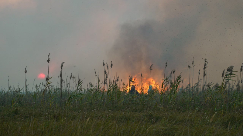 Quemaduras cerca de Kiev, Liman y Poltava: lo que se sabe sobre los incendios a gran escala en Ucrania