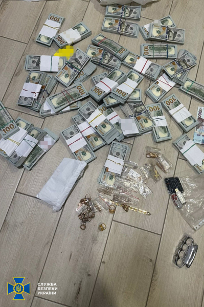 El jefe del MSEC regional de Nikolaev encontró 450.000 dólares y una colección de joyas