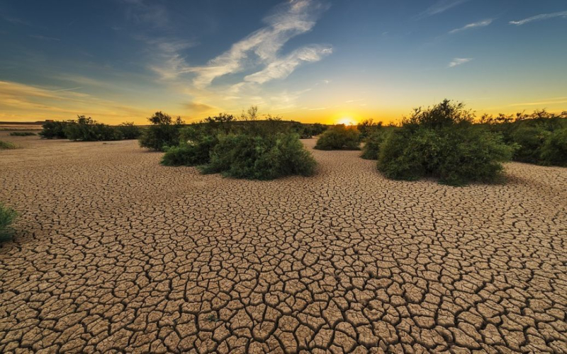 El año pasado fue el más seco en 30 años: climatólogos de la ONU