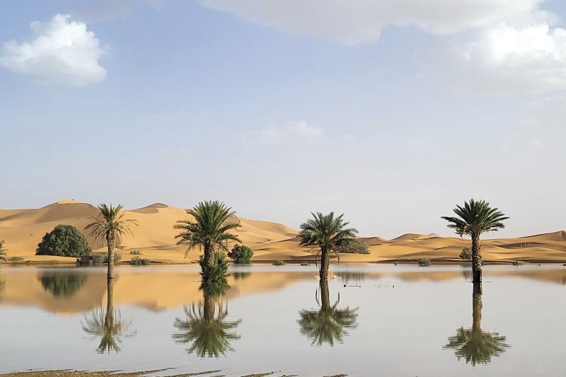 El agua inunda las dunas de arena después de fuertes lluvias en el desierto del Sahara: emergen fotos