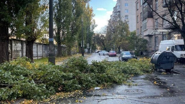 El mal tiempo azota Kiev: fuertes vientos derribaron árboles en las carreteras y arrancaron tejados