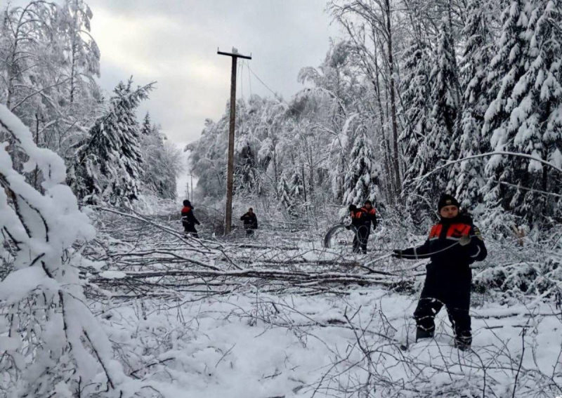 Pero a nadie le importa: en la región de Tver más de 1.000 familias sobreviven una semana sin electricidad