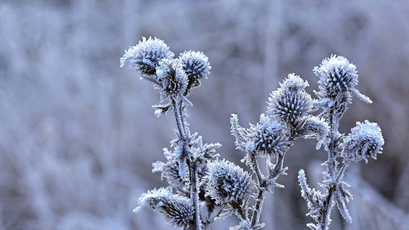 El tiempo en noviembre: el meteorólogo nos dijo cuándo y dónde esperar la primera nieve