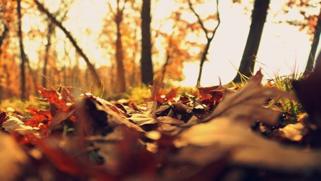 La temperatura aumentará a 15 grados: cuando el calentamiento llegue a Ucrania