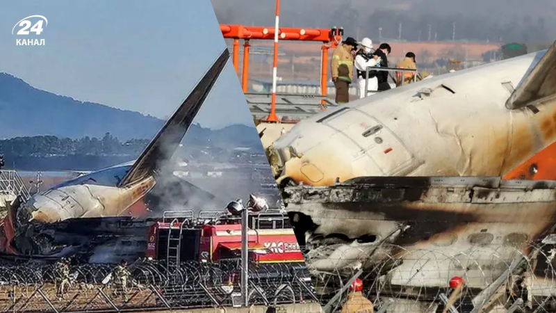 Accidente aéreo en Corea del Sur: los controladores advirtieron al avión sobre el riesgo de colisión con un pájaro