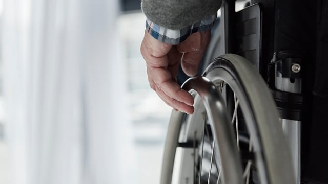 Batallas ¿Qué tipos de prestaciones pueden recibir los jubilados en Ucrania en 2025: lista?
<p><img decoding=