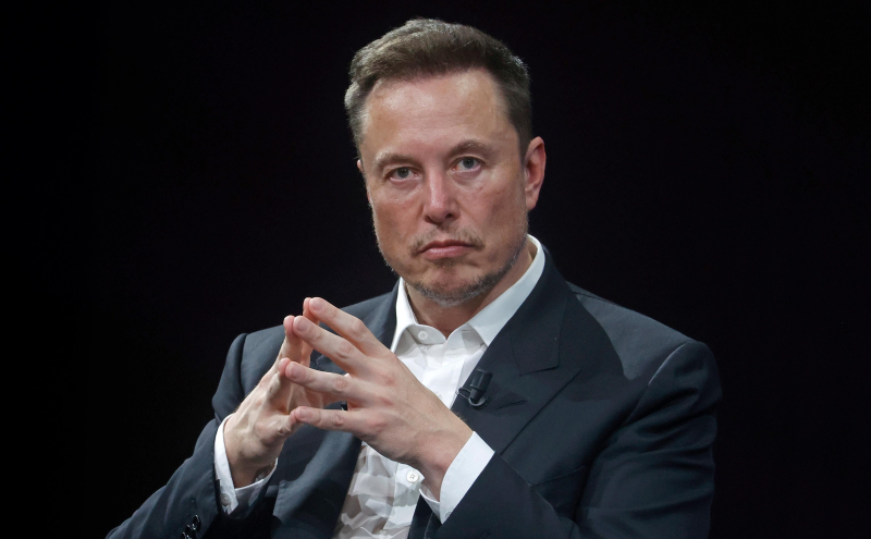 La tensión es muy alta: ¿Por qué Musk interfiere en las elecciones alemanas?</p>
<p _ngcontent-sc218=