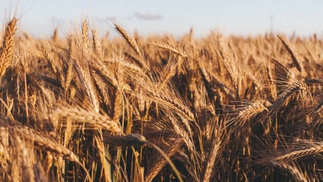 Reino Unido ayudará a Ucrania a rastrear el grano robado desde AQUÍ