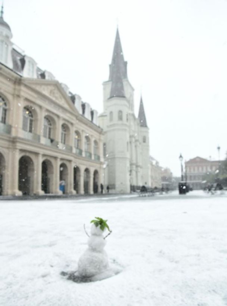 Primera nevada en 15 años: tormenta invernal paraliza la vida en Nueva Orleans (foto)