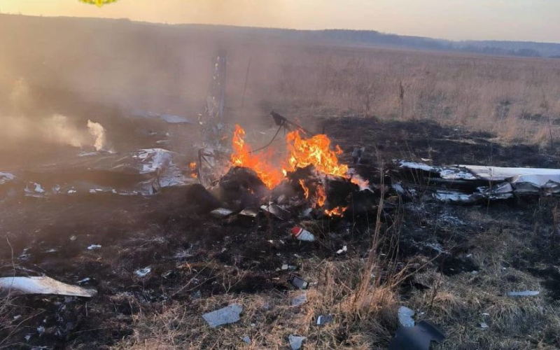 Un avión se estrelló en la región de Moscú: hay víctimas (video)