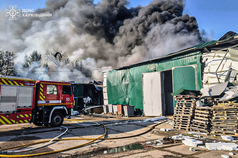 campo de dergachi: el éxito de la redon <P> <IMG Class = 