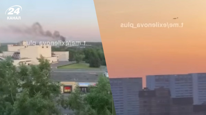 & quot; nuclear center & quot; hubo un ataque de las plantas en los boques