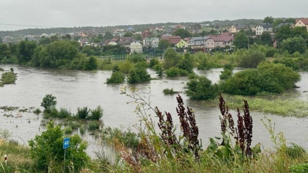 Badgery in lviv: salió de las ganas de la barra de los estacionamientos y las carreteras