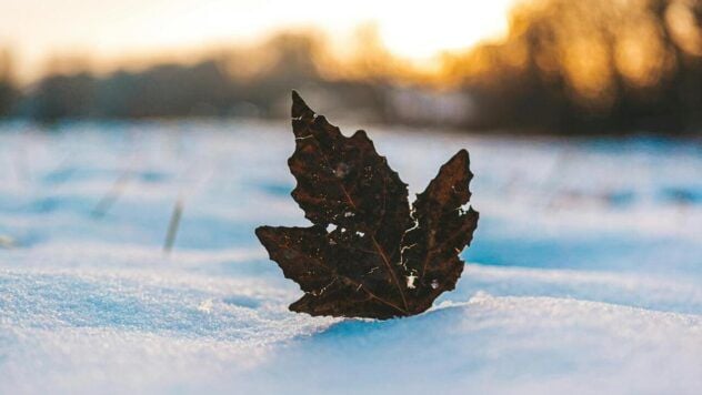 El tiempo en Ucrania en noviembre de 2025: se espera nieve o lluvia
